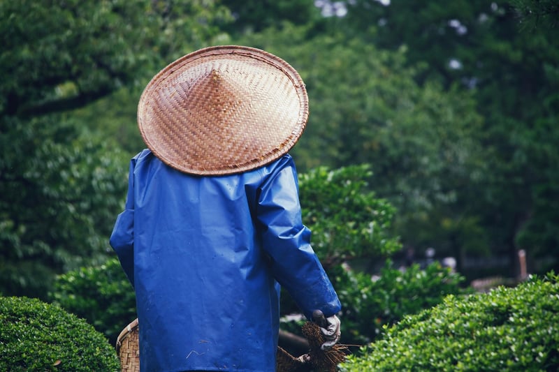 Travel Photography